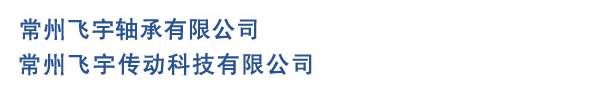 常州飛宇軸承有限公司※常州飛宇傳動(dòng)科技有限公司